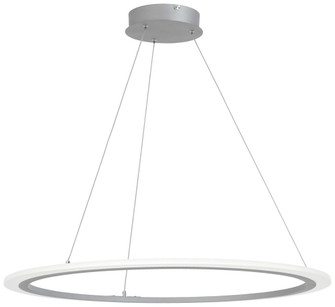 Discovery - LED Pendant (77|P8141-609-L)