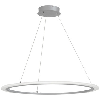 Discovery - LED Pendant (77|P8141-609-L)