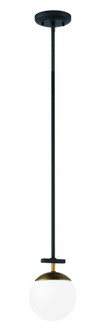 Alluria - 1 Light Mini Pendant (77|P351-618)