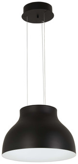 LED Pendant in Black Finish (77|P1780-066A-L)