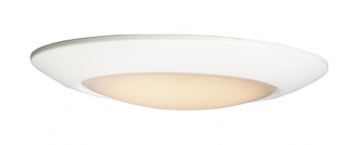 Diverse-Flush Mount (19|57861WTWT)
