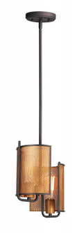 Caspian-Multi-Light Pendant (19|31219OIAB)
