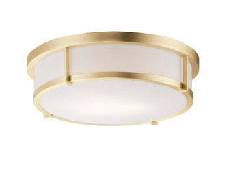 Rogue E26-Flush Mount (19|10270WTSBR)
