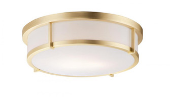 Rogue E26-Flush Mount (19|10270WTSBR)