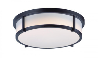 Rogue E26-Flush Mount (19|10270WTBK)