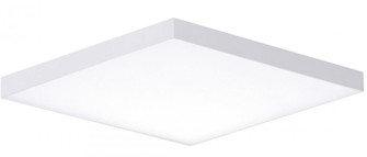 Trim-Flush Mount (19|57668WTWT)