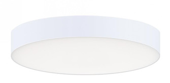 Trim-Flush Mount (19|57660WTWT)