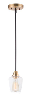 Goblet-Mini Pendant (19|96120CLBZAB)