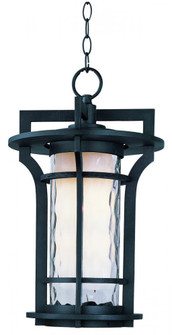 Oakville LED E26-Outdoor Hanging Lantern (19|65788WGBO)