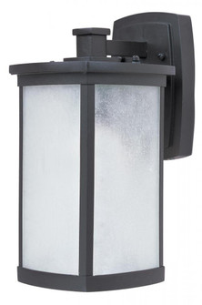 Terrace LED E26-Outdoor Wall Mount (19|65753FSBZ)