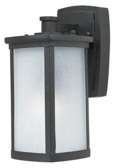 Terrace LED E26-Outdoor Wall Mount (19|65752FSBZ)