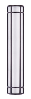 Moon Ray-Outdoor Wall Mount (19|55577WTBZ)