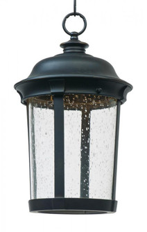 Dover LED-Outdoor Hanging Lantern (19|55029CDBZ)