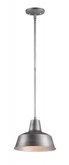 Pier M-Outdoor Pendant (19|35017WZ)