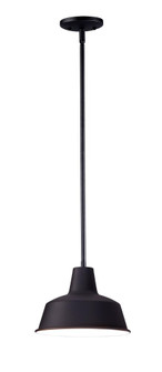 Pier M-Outdoor Pendant (19|35017BK)