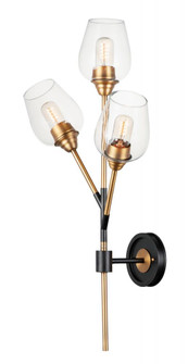 Savvy-Wall Sconce (19|26341CLABBK)