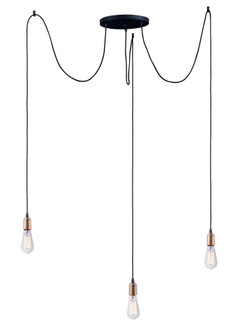 Early Electric-Multi-Light Pendant (19|12123BKAB)