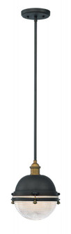 Portside-Outdoor Pendant (19|10184OIAB)