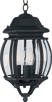 Crown Hill-Outdoor Hanging Lantern (19|1036BK)