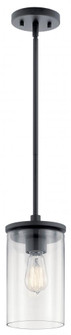 Mini Pendant 1Lt (2|43996BK)