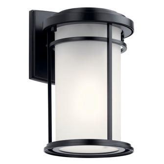 Outdoor Wall 1Lt (2|49686BK)
