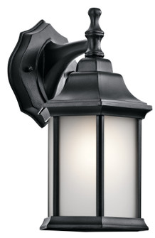 Outdoor Wall 1Lt (2|9776BKS)