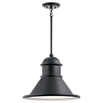 Northland 1 Light Pendant Black (2|49777BK)
