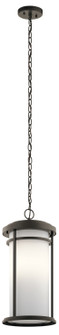 Outdoor Pendant 1Lt (2|49689OZ)