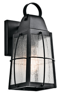 Tolerand 12'' 1 Light Outdoor Wall Light with Clear Seeded Glass in Textured Black (2|49552BKT)