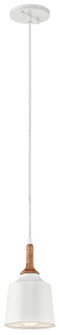 Mini Pendant 1Lt (2|43682WH)