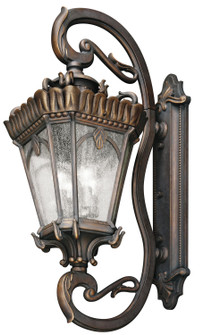 Tournai 46'' 4 Light Outdoor Wall Light with Clear Seeded Glass in Londonderry (2|9360LD)