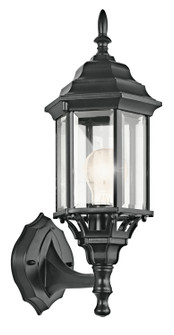Outdoor Wall 1Lt (2|49255BK)