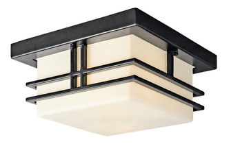 Outdoor Ceiling 2Lt (2|49206BK)
