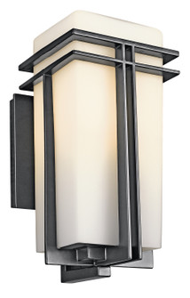 Outdoor Wall 1Lt (2|49201BK)