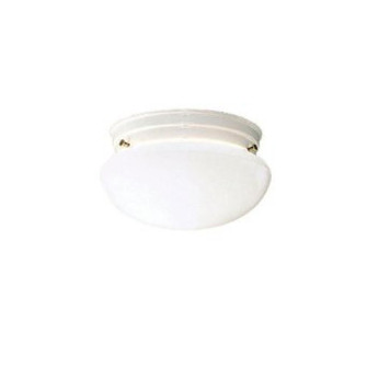Flush Mount 2Lt (2|209WH)