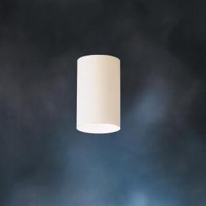 Indoor/Outdoor Ceiling 1Lt (2|9834WH)