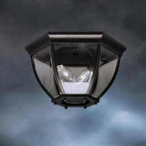 Outdoor Ceiling 2Lt (2|9886BK)