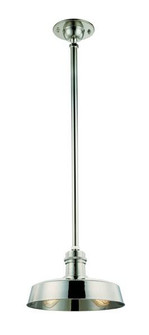 Hudson Falls Pendant (57|8610-PN)