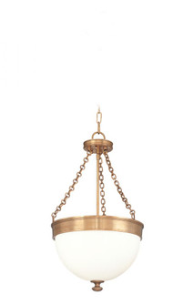 Barrington Pendant (57|324-HB)