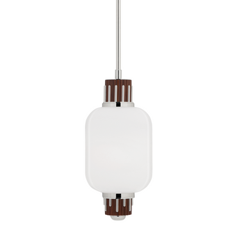 Peekskill Pendant (57|3811-PN)