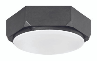 Medium Flush Mount (87|4583BGR)