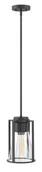 Extra Small Pendant (87|63307BK-CL)
