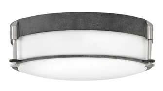 Medium Flush Mount (87|3233DZ)