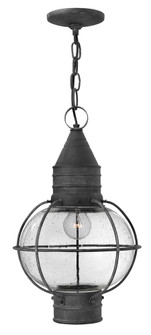Medium Hanging Lantern (87|2202DZ)