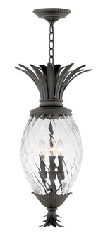 Large Hanging Lantern (87|2122MB)