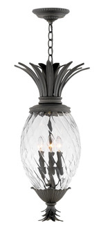 Large Hanging Lantern (87|2122MB)