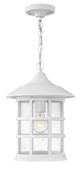 Medium Hanging Lantern (87|1802CW)