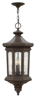 Large Hanging Lantern (87|1602OZ)