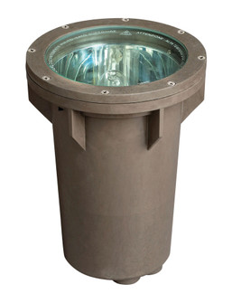 Par36 Well Light (87|51000BZ)