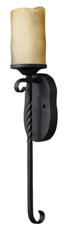 Large Single Light Sconce (87|4300OL)